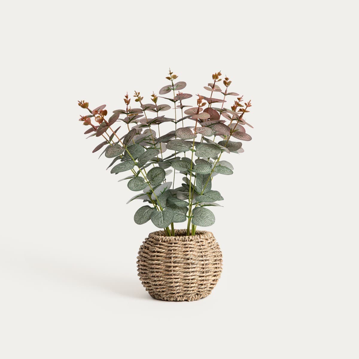 Umelý eukalyptus EUUKA v kvetináči zelený a červený 14 × 14 × 48 cm